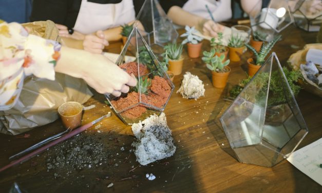 Bientôt des formations professionnelles pointues via  FabLab. Pour cultiver la soif d’apprendre ?